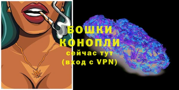 кокс Белокуриха