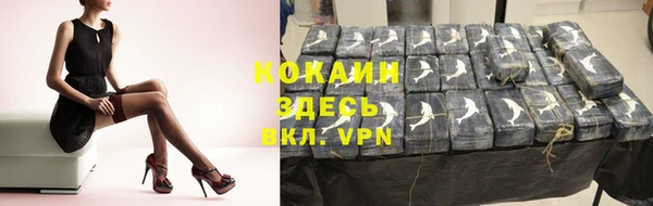 кокс Белокуриха