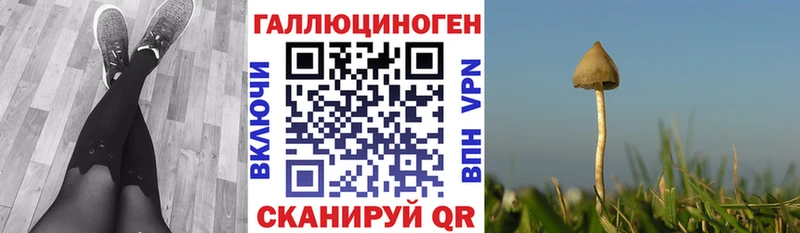 наркота  Облучье  Галлюциногенные грибы Psilocybine cubensis 